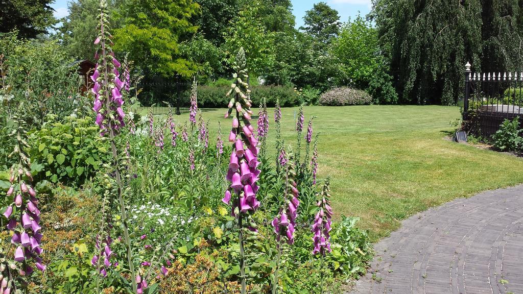 B&B Kasteel De Windt Nieuwkerken-Waas Luaran gambar